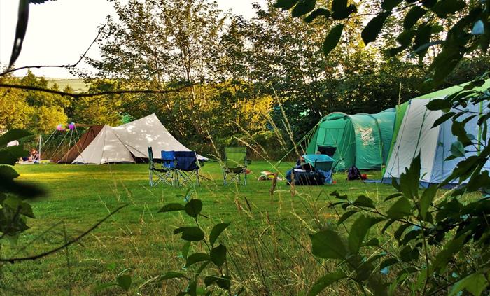 Meadow Camping at Top of the Woods